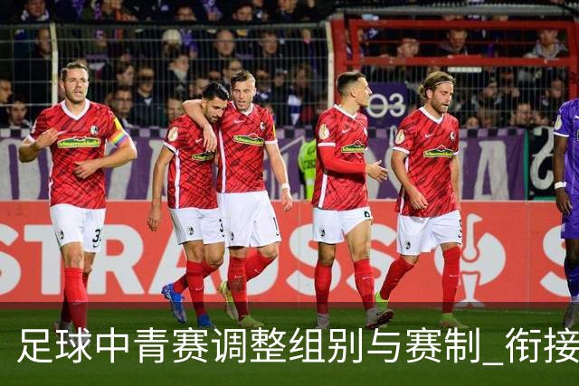 足球中青赛调整组别与赛制 衔接职业联赛